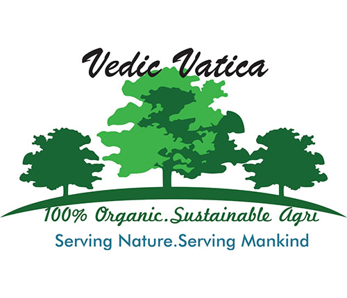Vedic Vatica Pvt Limited, Jashpur Nagar