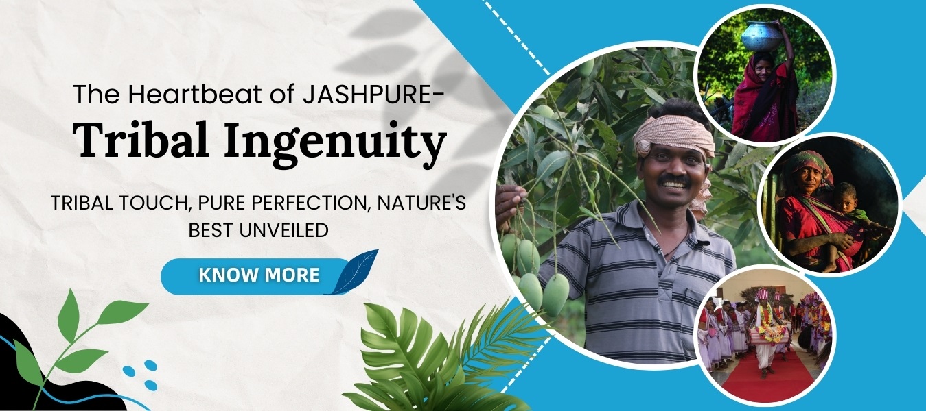 Tribal Ingenuity - Jashpure