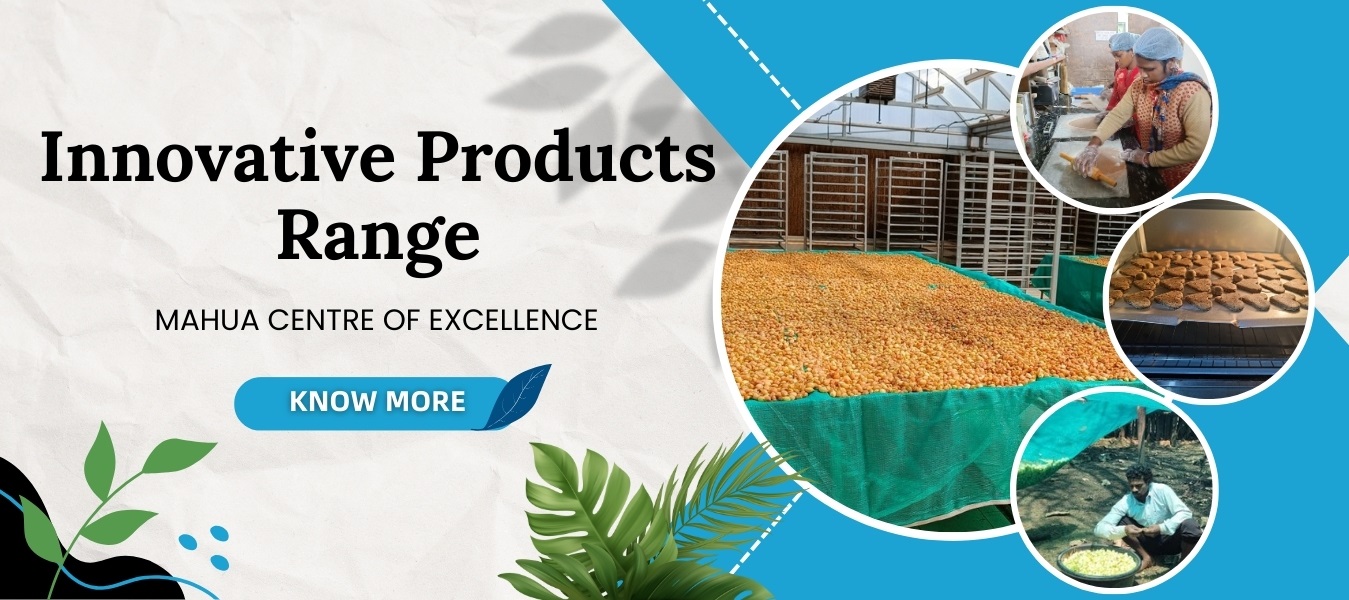 Innovativ Product Range - Jashpure