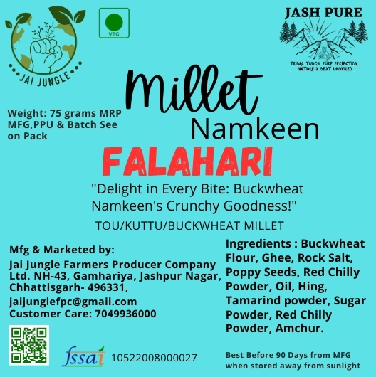 Falahari Namkeen (TOU) 225gm